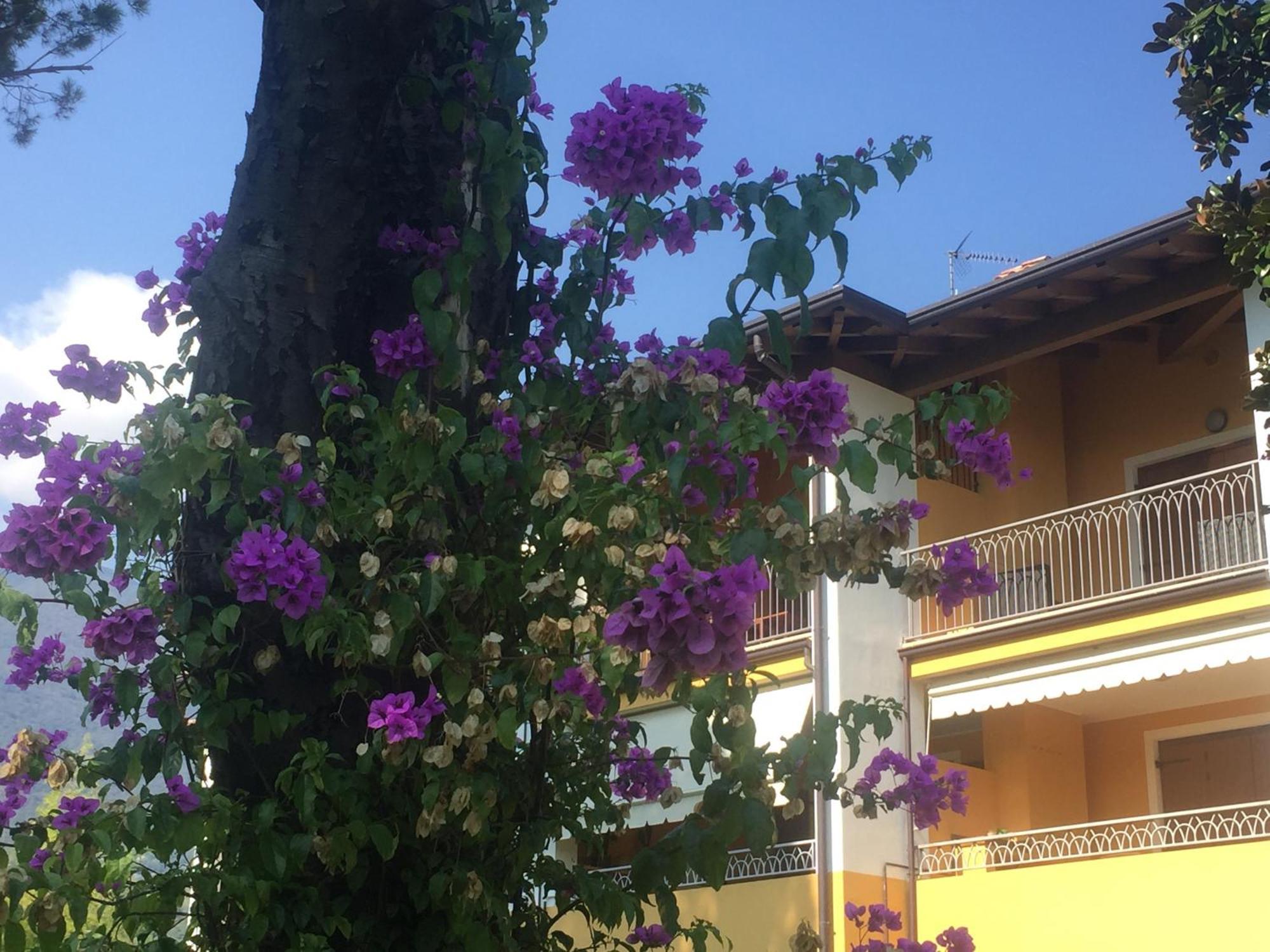 Casa Santi Il Silenzio Tra Lago E Montagna Toscolano Maderno Exterior photo